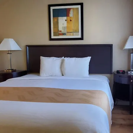 Quality Inn & Suites Anaheim At The Park-2