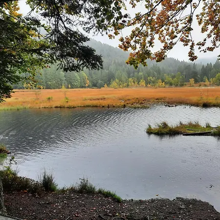 Au Cœur des Lacs - Chambres d'hôtes&Spa-3