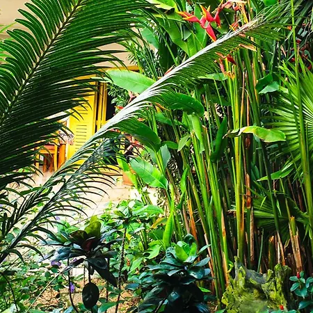 Villa Oasis Abidjan-3