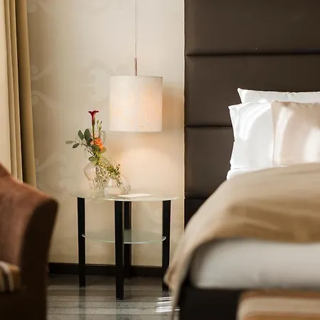 Hotel Timisoara-2