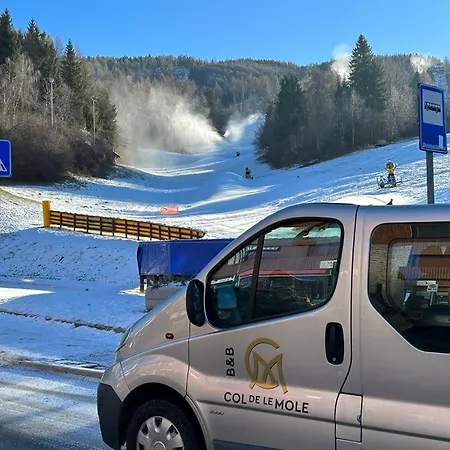 B&B Col De Le Mole - Dolomiti Bellunesi-3