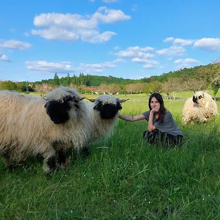 Ferme des petites oreilles Lascaux-2