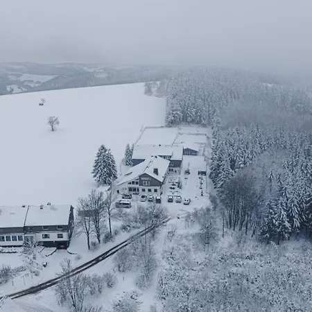 Wittgensteiner Landhaus Winterberg-3