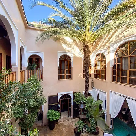 Riad Selouane-3
