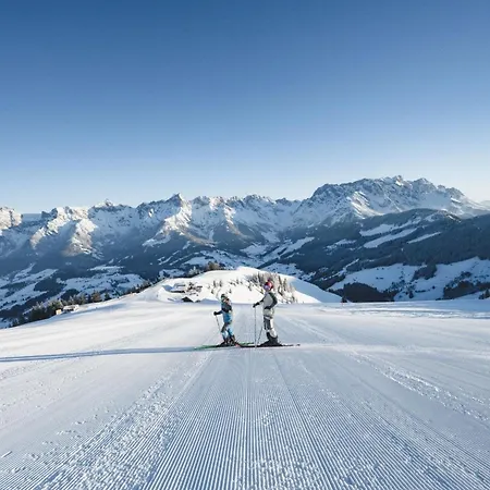 Chesa Montana-2