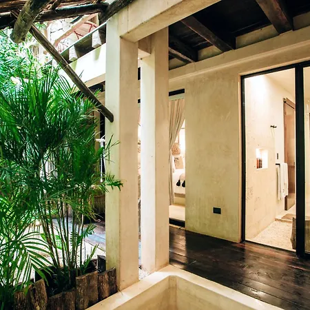 Orchid House Tulum Jungle-3