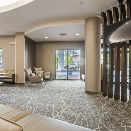 Springhill Suites Gainesville-2
