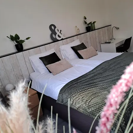 B&B de Wilhelminaschool-2
