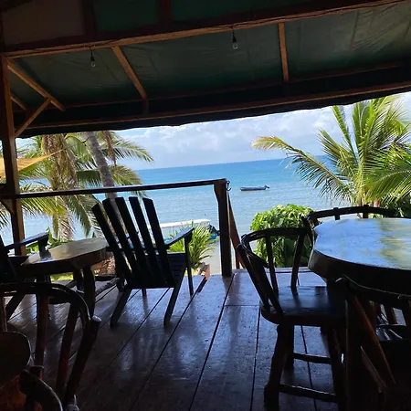 Las Palmeras Oceanview Hotel And Dive Center-3