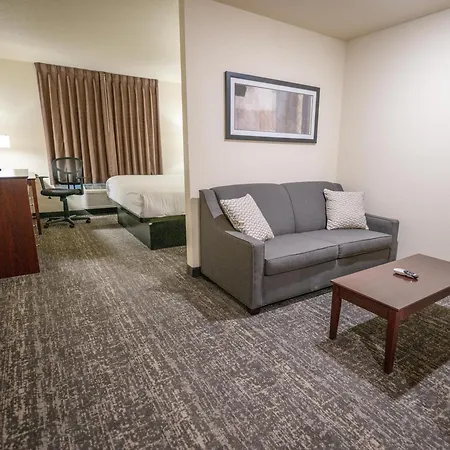 Cobblestone Hotel & Suites - Lamar-3