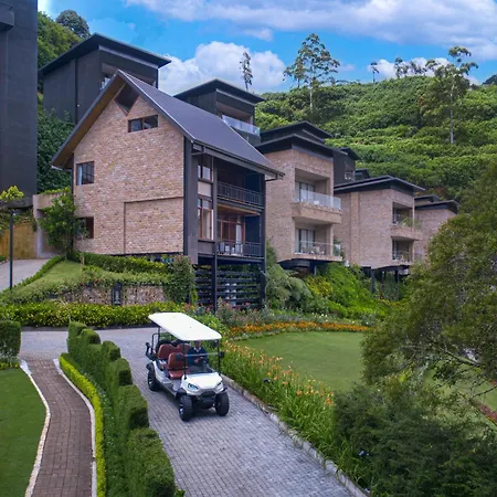 The Golden Ridge Hotel-3