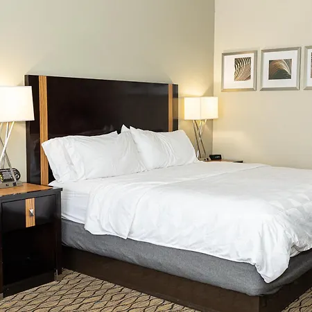 Holiday Inn Effingham By Ihg-2