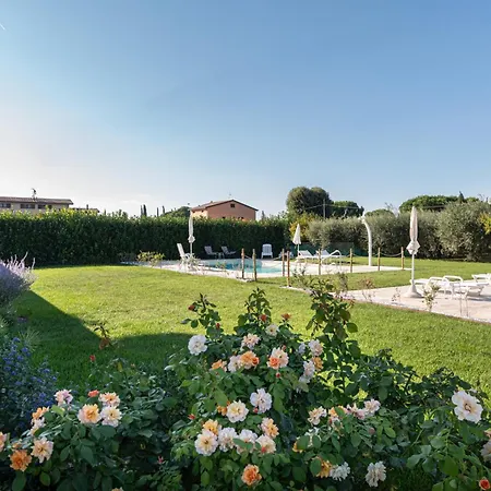 Rosa di Assisi-3