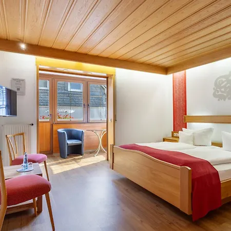 Hotel Sauerländer Hof-2