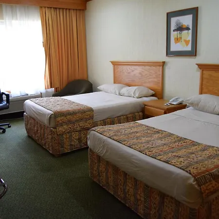 Hotel Sicomoro-3