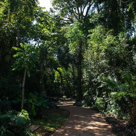 Yvy Hotel De Selva-3