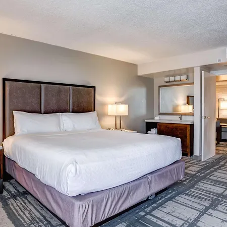Embassy Suites By Hilton Orlando International Drive Convention Center-3