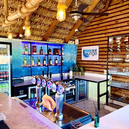 Villa Iguana-2