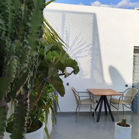 Riad L'Arganier-2