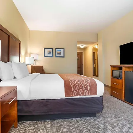 Comfort Inn & Suites Daphne Spanish Fort - Mobile East-3