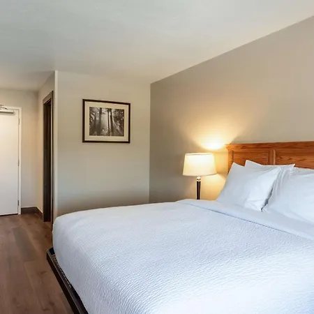 Surestay Plus Hotel By Best Western Rexburg-2