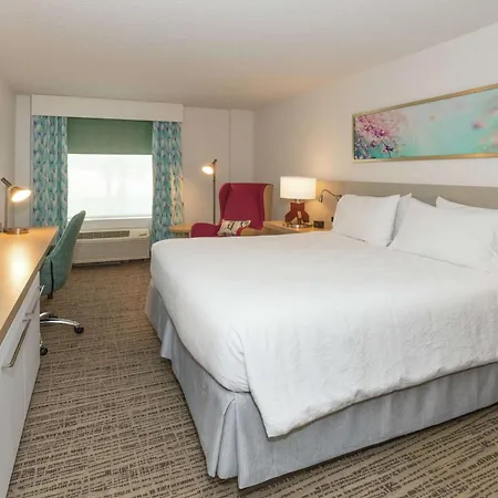 Hilton Garden Inn Saint Augustine Beach-2