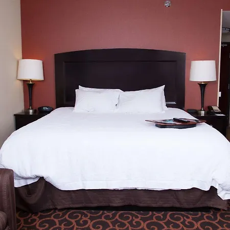 Hampton Inn & Suites Dickinson Nd-2