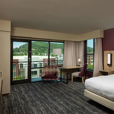 Hilton Asheville Biltmore Park-2