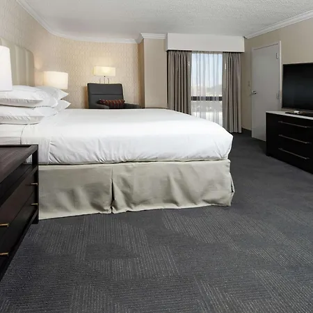 Hilton Greenville-3