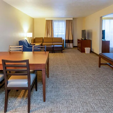 Comfort Inn Salt Lake City Downtown-3