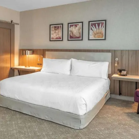 Hilton Garden Inn Boston Logan Airport-3