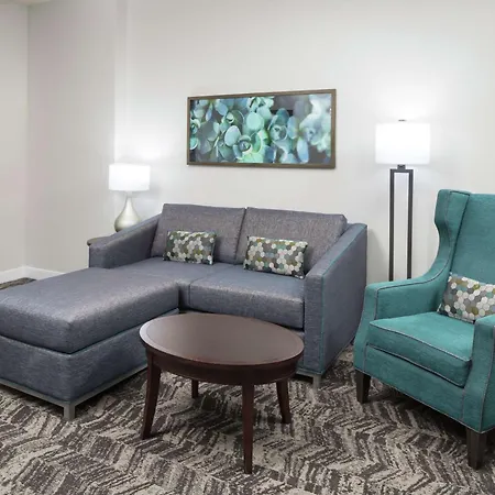 Hilton Garden Inn Dfw North Grapevine-2