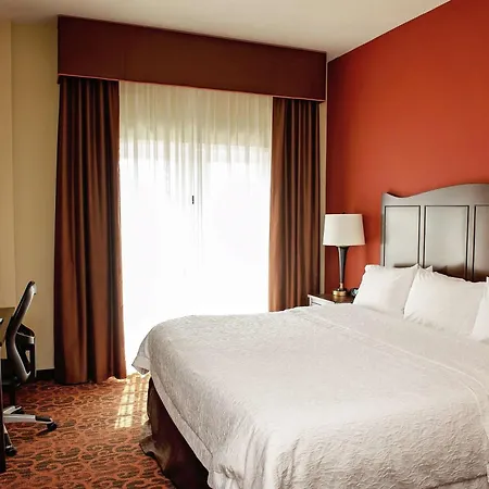 Hampton Inn & Suites Bradenton-3