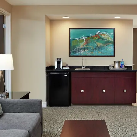Hilton Houston Plaza/Medical Center-2