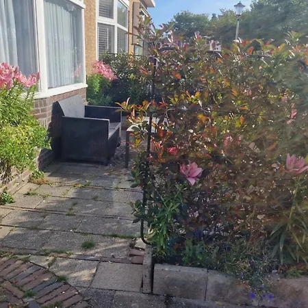 Guesthouse Zandvoort-2