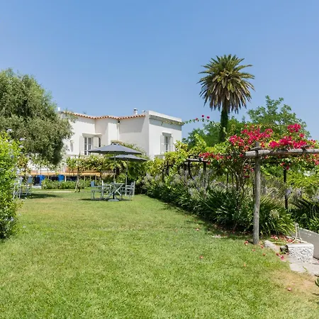 Villa La Pergola Capri-3