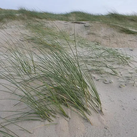 B&B De Sering Texel-3