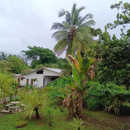 Hotel Tortuguero Beachfront-2