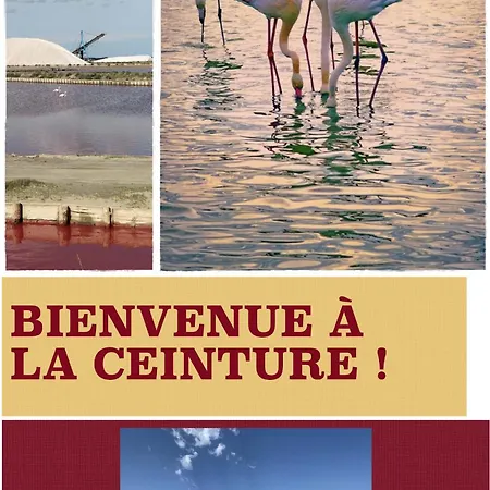 Hotel Restaurant La Ceinture-2