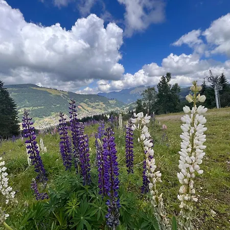 Chalet Aventure B&B Les Gets-2