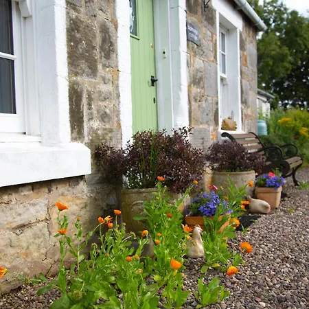 Balmungo Cottage B&B-3