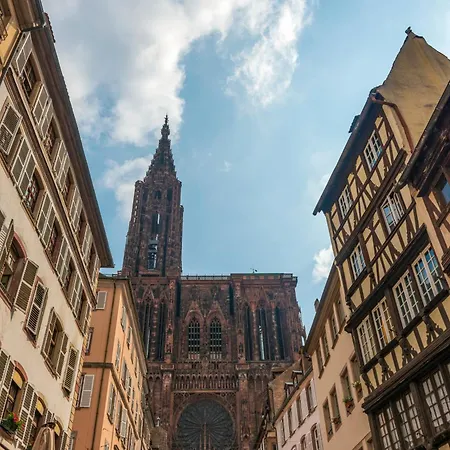 Cerise Strasbourg-3