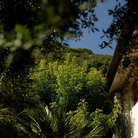 Cavalieri B&B-3