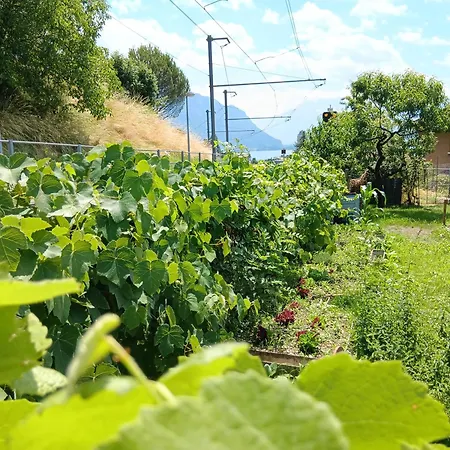 La plus belle vue du lac Léman-3