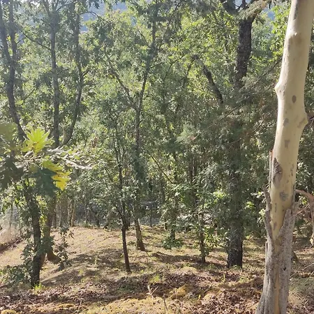 Casa De Apeleiras-2