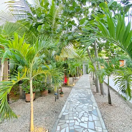 Green Oasis Hotel-3
