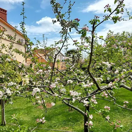 Guest House Krk Town Centre-3
