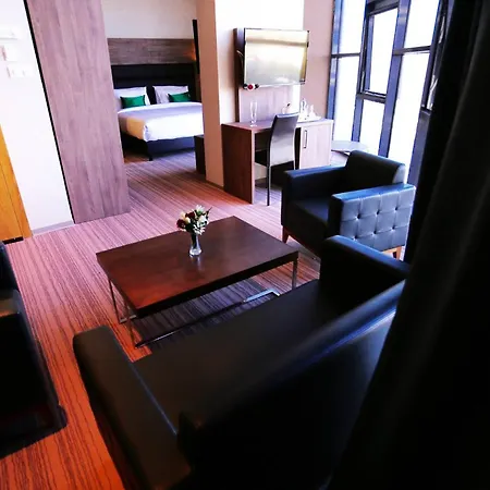 Le Zenith Hotel Oran-2