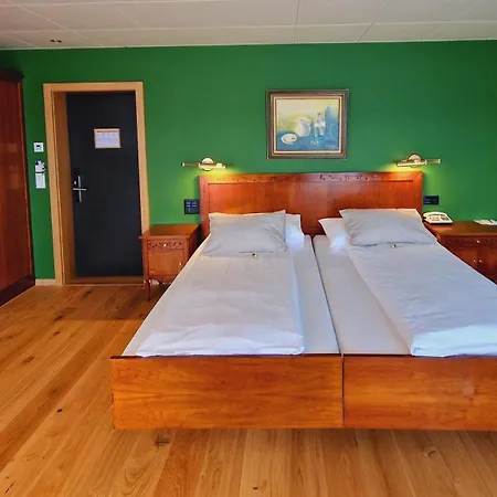 Engimatt City & Garden Hotel-2