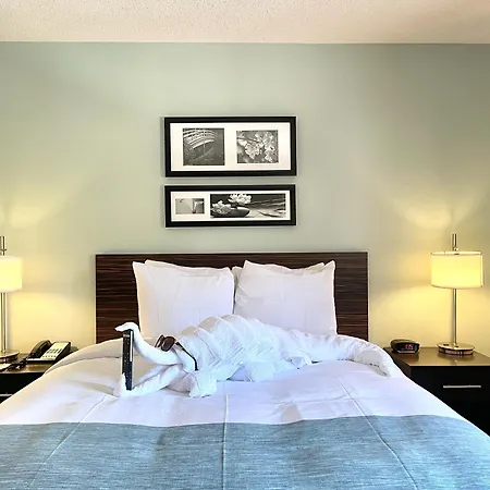 Wingate By Wyndham Salisbury Md Airport North-3